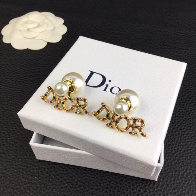 Dior Earring CSJ70001754