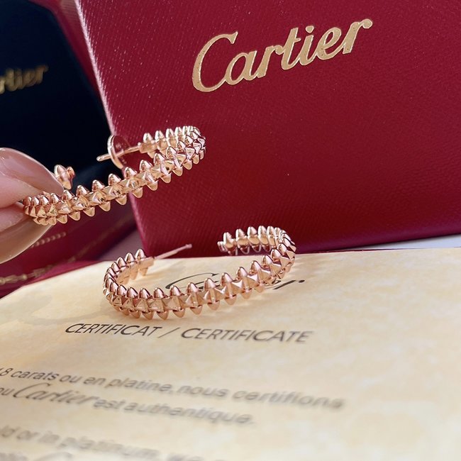 Cartier Earring CSJ11143313