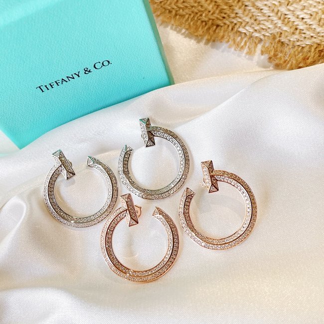 Tiffany & Co. Earring CSJ70002952