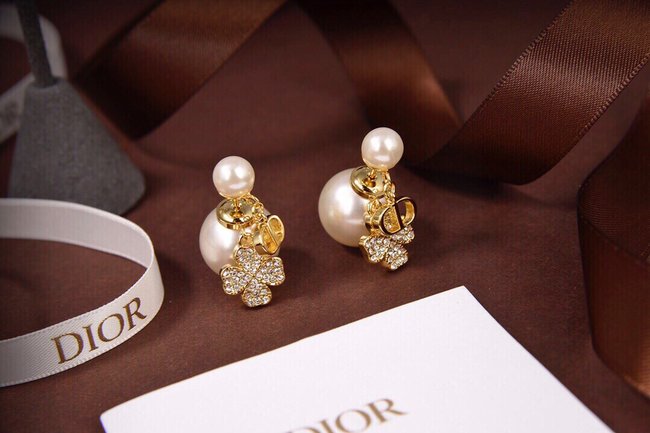 Dior Earring CSJ00001916