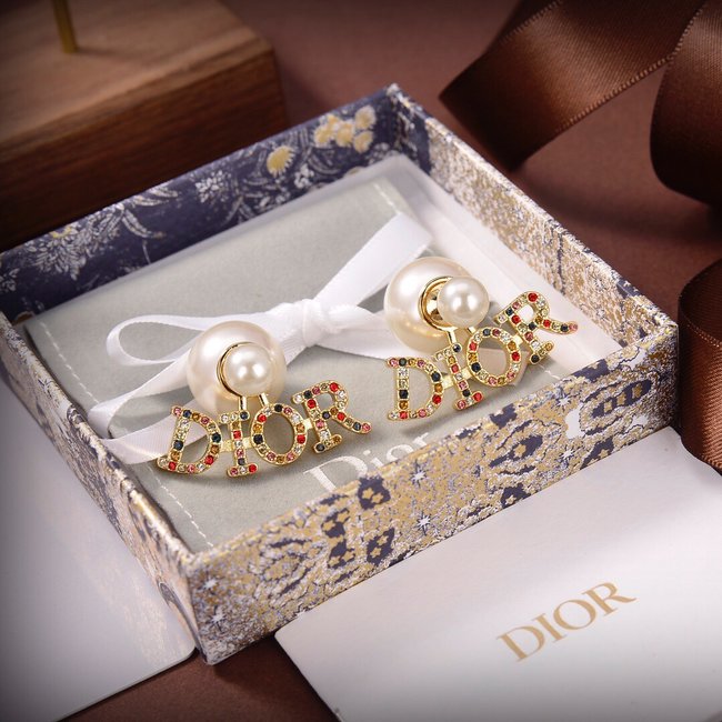 Dior Earring CSJ10001896