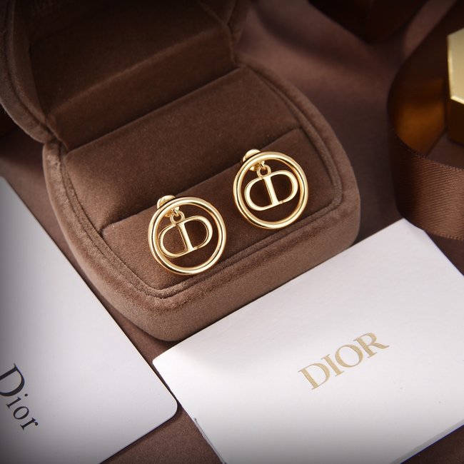 Dior Earring CSJ90001130