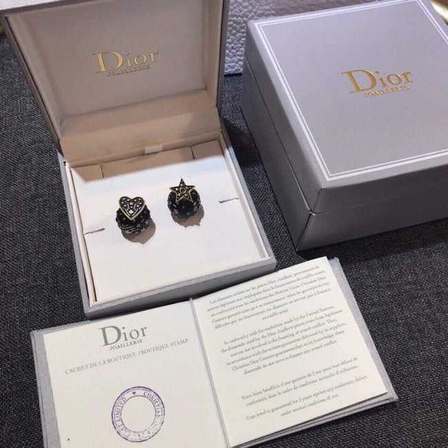 Dior Earring CSJ30001025