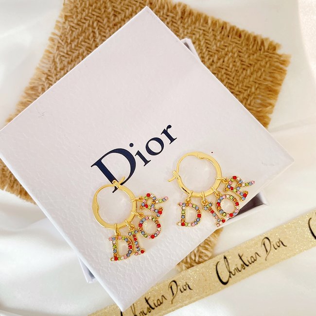 Dior Earring CSJ50001393