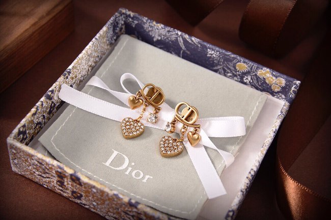 Dior Earring CSJ30002224