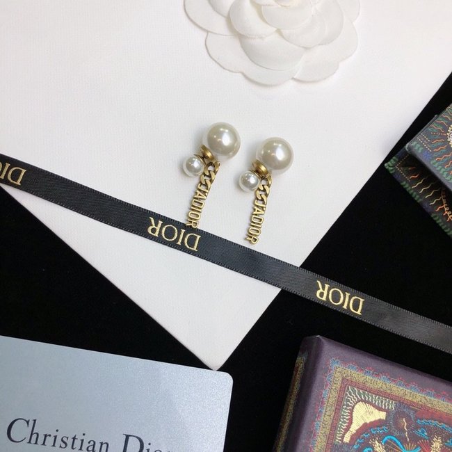 Dior Earring CSJ80001335