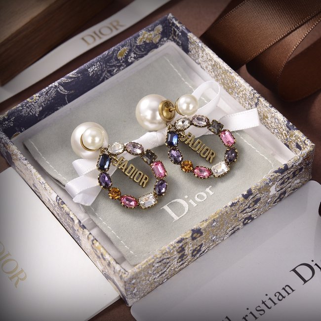 Dior Earring CSJ10002360