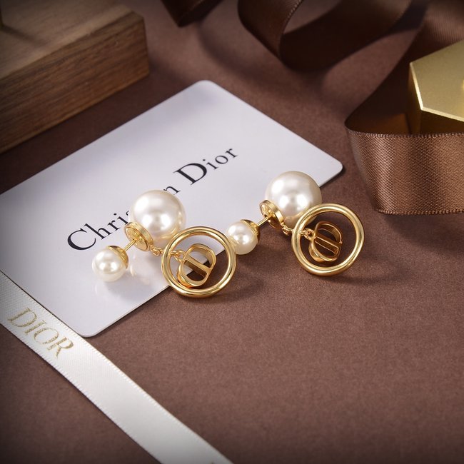 Dior Earring CSJ70001309