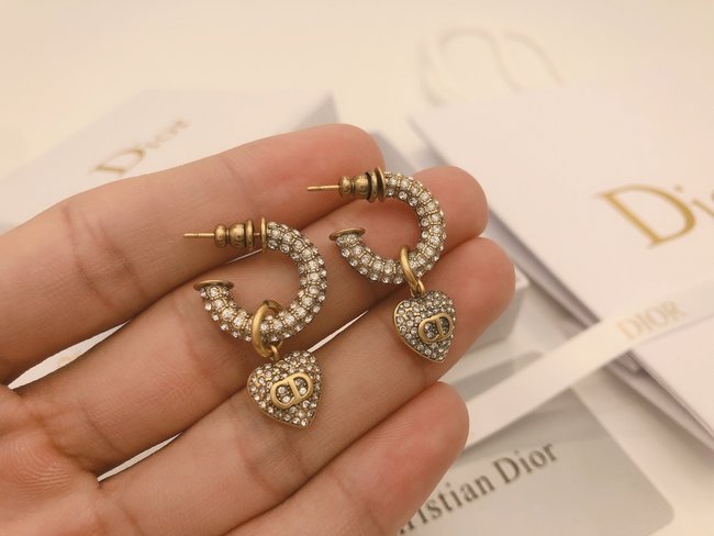 Dior Earring CSJ60001192