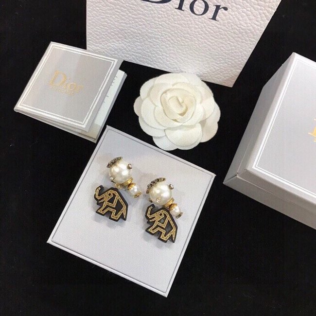 Dior Earring CSJ50001505