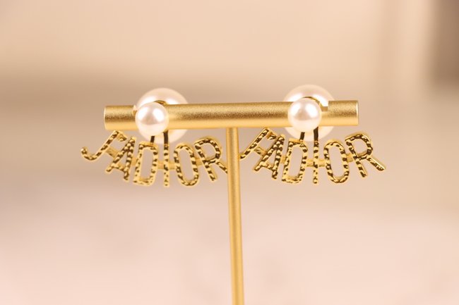 Dior Earring CSJ52243344