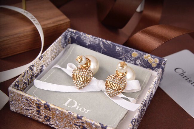 Dior Earring CSJ90001953