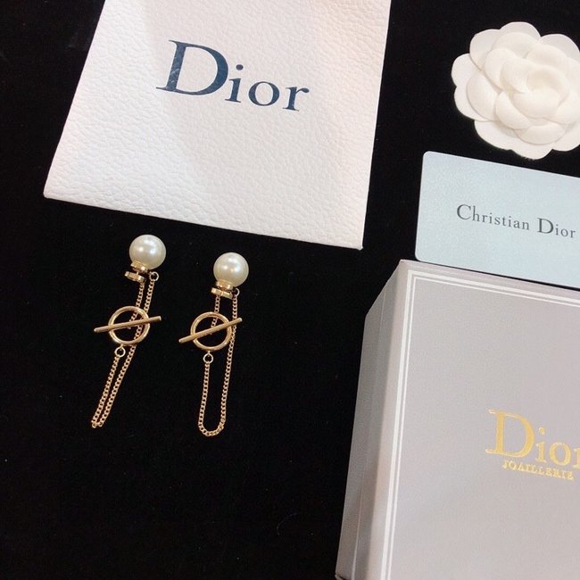 Dior Earring CSJ54143244