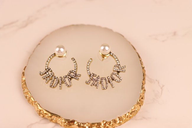 Dior Earring CSJ60002062