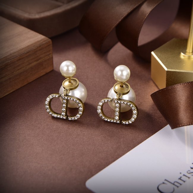 Dior Earring CSJ00001404