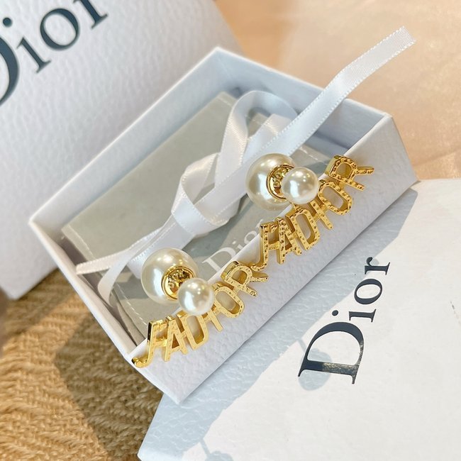 Dior Earring CSJ90001658