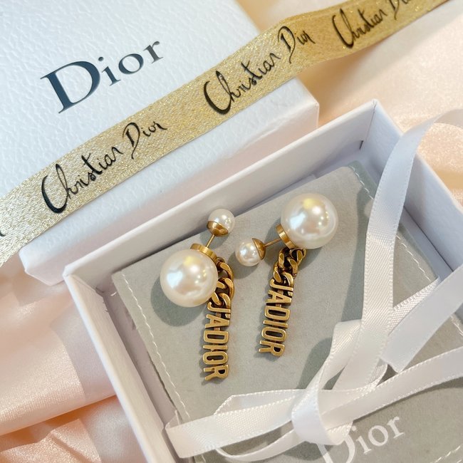 Dior Earring CSJ80001301