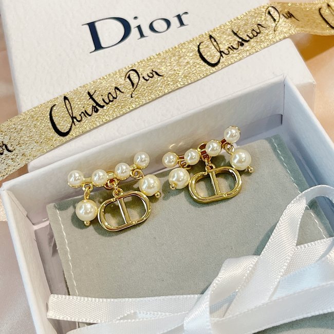 Dior Earring CSJ90001616