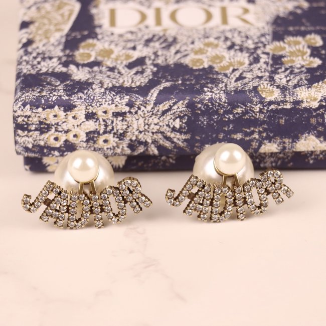 Dior Earring CSJ30001359