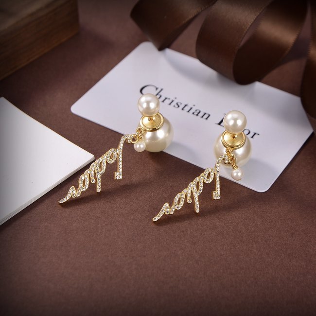 Dior Earring CSJ80001146