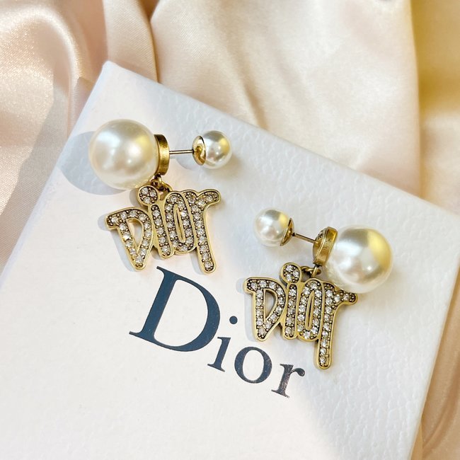 Dior Earring CSJ10002475