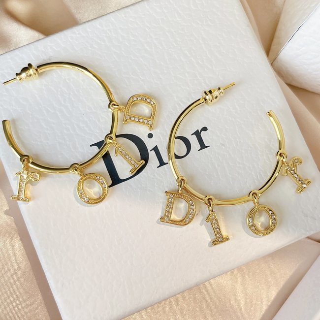 Dior Earring CSJ40001335