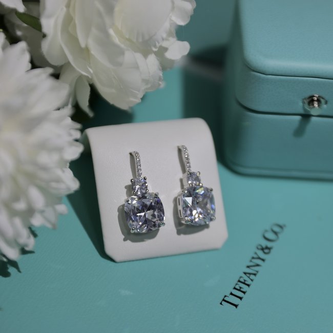Tiffany & Co. Earring CSJ30001876