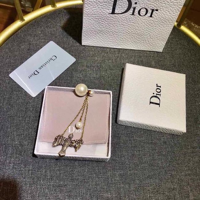 Dior Earring CSJ32554255