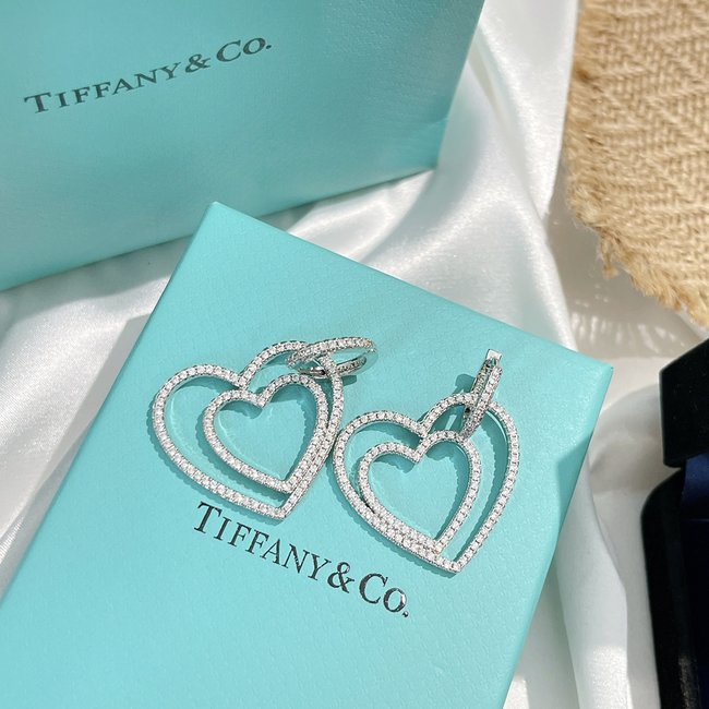 Tiffany & Co. Earring CSJ30001490