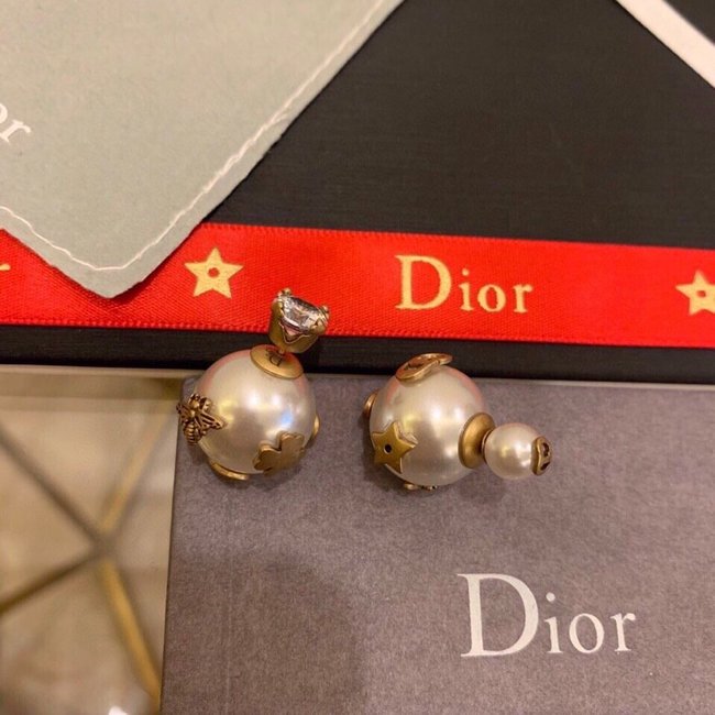 Dior Earring CSJ40001467