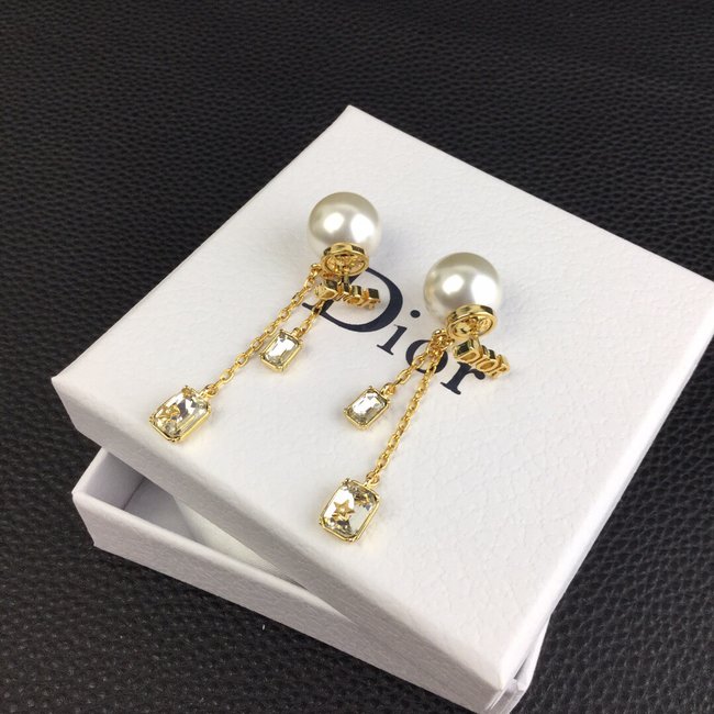 Dior Earring CSJ10001548