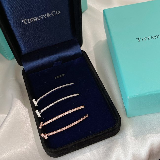 Tiffany & Co. Earring CSJ40001444