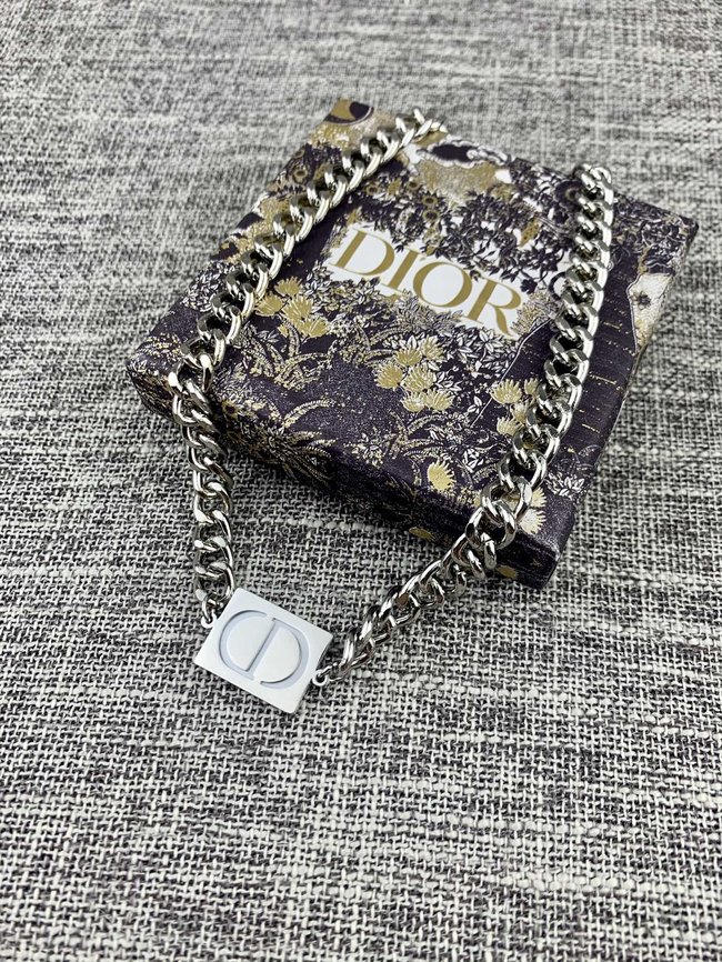 Dior Necklace CSJ10001824