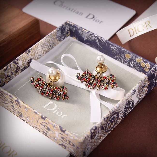 Dior Earring CSJ80001295