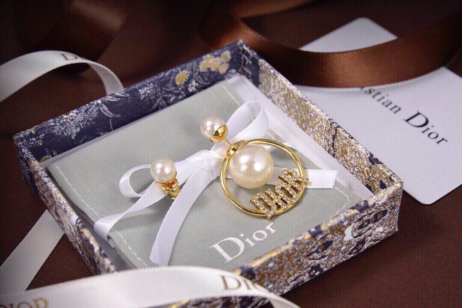 Dior Earring CSJ80001479