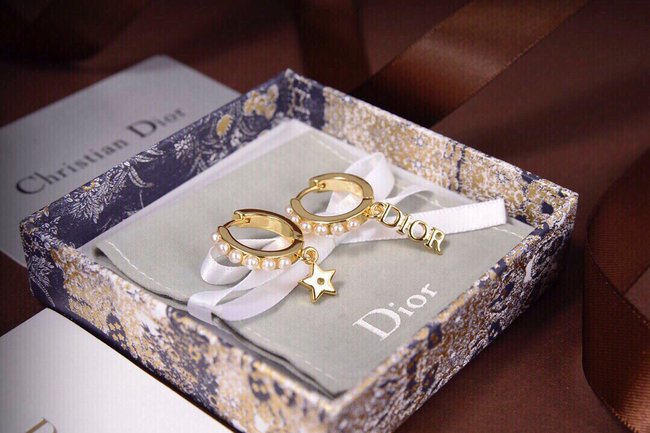 Dior Earring CSJ30001387