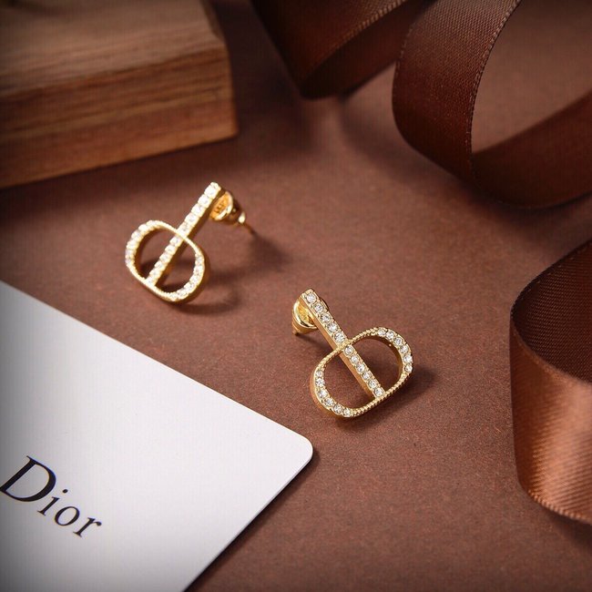 Dior Earring CSJ90001818