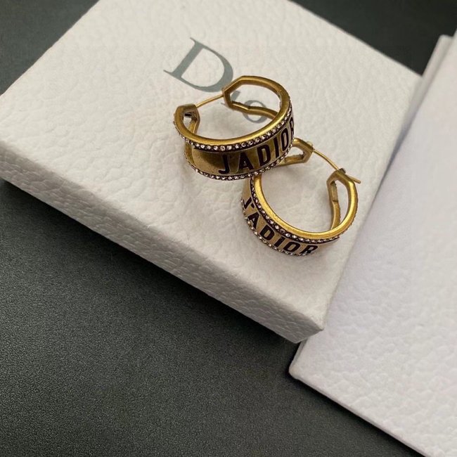 Dior Earring CSJ50001396