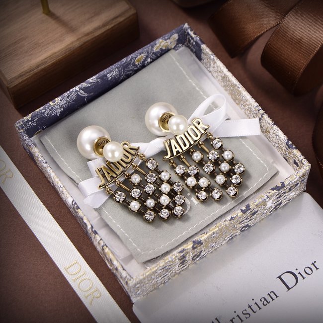 Dior Earring CSJ90001104