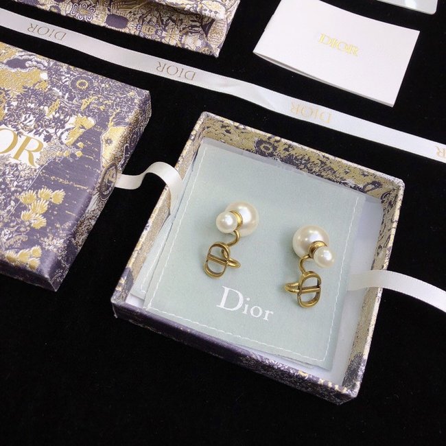 Dior Earring CSJ24222351