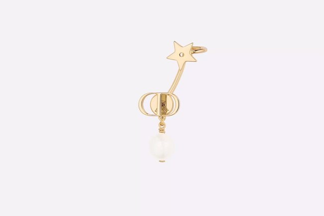 Dior Earring CSJ70001688