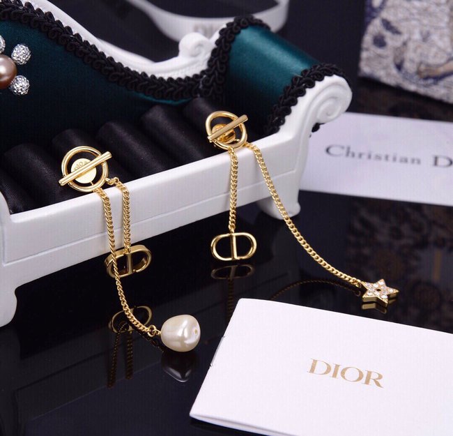 Dior Earring CSJ30001715