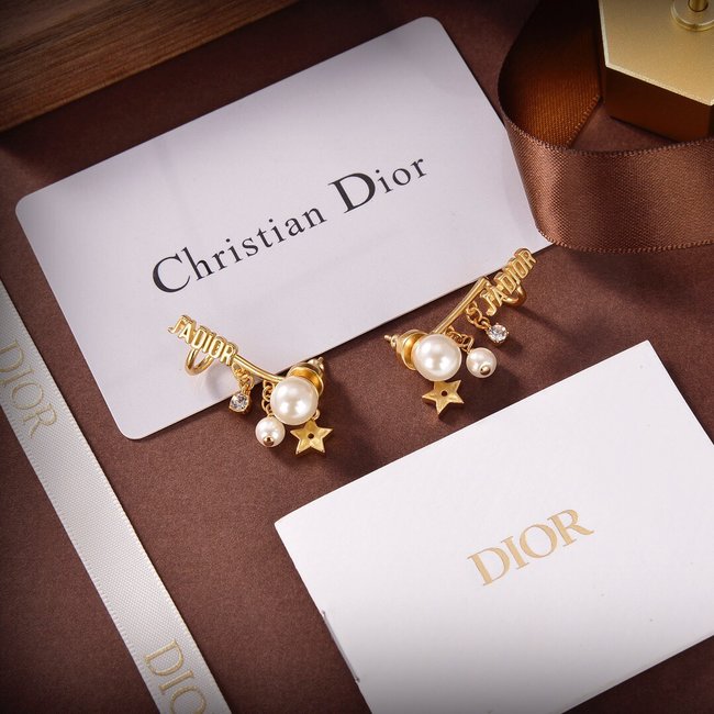 Dior Earring CSJ40001092