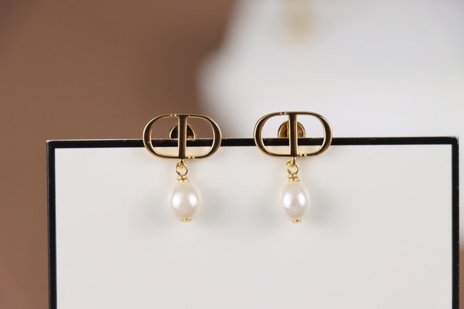 Dior Earring CSJ54315111