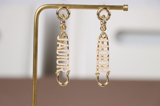 Dior Earring CSJ80001616