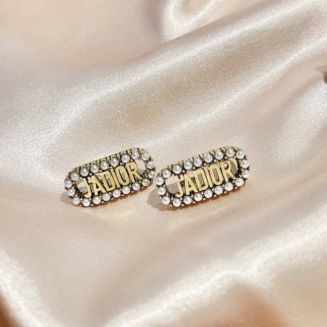 Dior Earring CSJ30001190