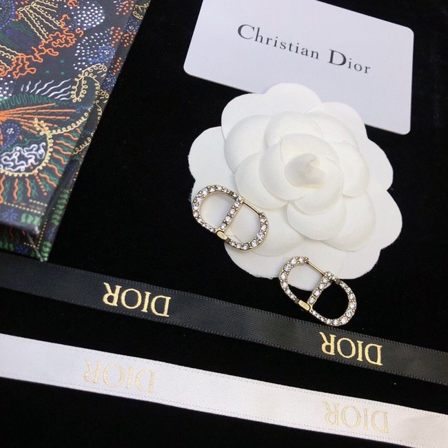 Dior Earring CSJ80001507