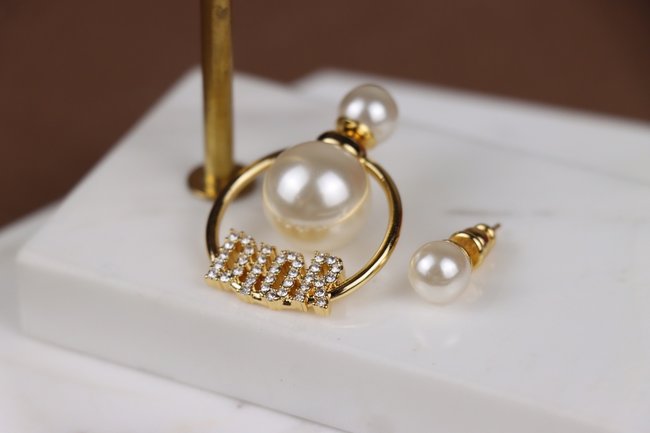 Dior Earring CSJ42223143