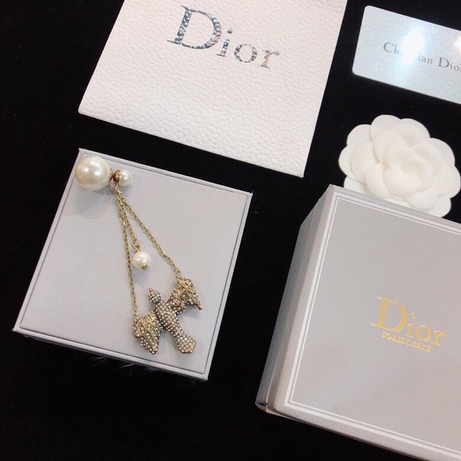 Dior Earring CSJ00001427