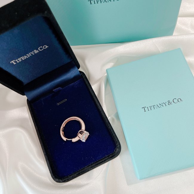 Tiffany & Co. Earring CSJ40001700